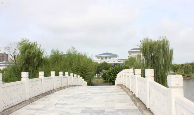 乘風破浪的直播時代，八維助你創造的千萬奇跡